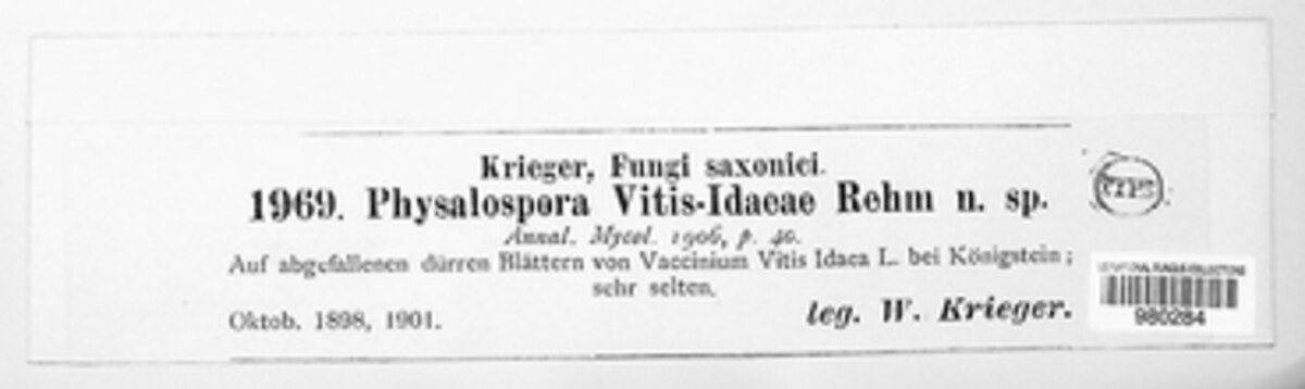 Physalospora image